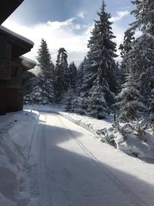 Borovets Chalets