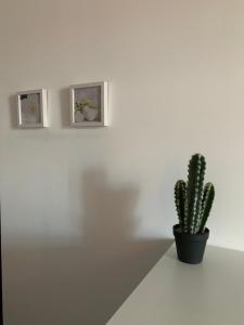 Beau T4 Hyper Centre avec Parking