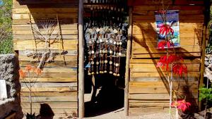 Astro Camping Elqui Experience