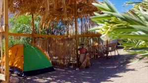 Astro Camping Elqui Experience