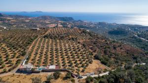 Triopetra Green Dream Rethymno Greece