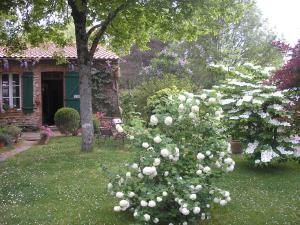 B&B / Chambres d'hotes L'instant jardin : photos des chambres