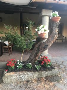 Agriturismo Il Daino