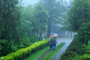 Camelot Resort-A Boutique Escape in the Munnar Hills