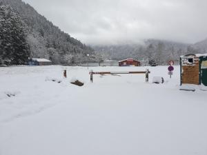 Appartements Romann : photos des chambres