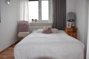 Apartament pod chmurką