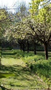 Maisons de vacances Au jardin de Grand-Pere : photos des chambres