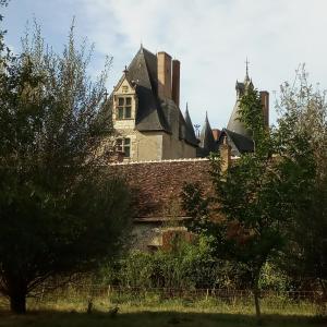 Maisons de vacances Au jardin de Grand-Pere : photos des chambres