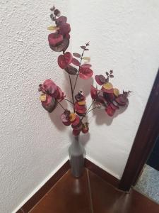 Casa dos Avós e Netos