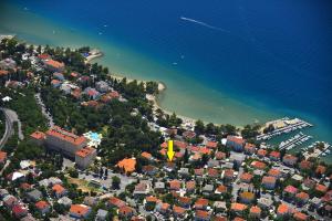 Apartments SOBOL 