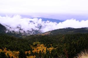 Elatou Orini-Nafpaktia Greece