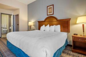 King Room with Accessible Tub - Accessible/Non-Smoking room in MainStay Suites Grantville