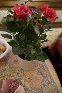 Hotels Hotel Restaurant Le Schlossberg : photos des chambres