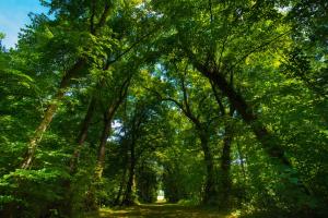 Hotels Domaine de La Groirie - Le Mans : photos des chambres