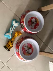 Appartamento curato con giardino