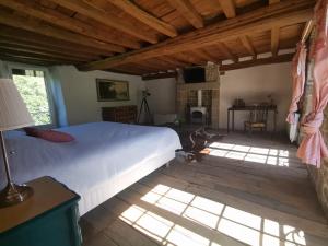 Maisons de vacances Domaine LVD avec SPA, bois et riviere privee : photos des chambres