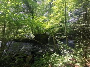 Maisons de vacances Domaine LVD avec SPA, bois et riviere privee : photos des chambres