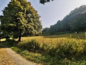 Maisons de vacances Domaine LVD avec SPA, bois et riviere privee : photos des chambres