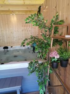 Maisons de vacances Domaine LVD avec SPA, bois et riviere privee : photos des chambres