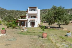 Theonis Villas Naxos Greece