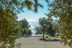 Theonis Villas Naxos Greece