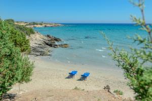 Theonis Villas Naxos Greece