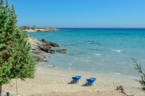 Theonis Villas Naxos Greece