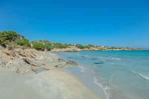 Theonis Villas Naxos Greece