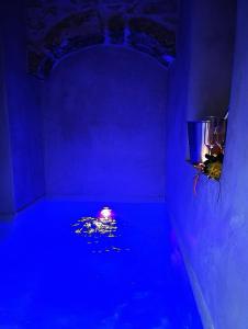 Suite Mazzini con piscina