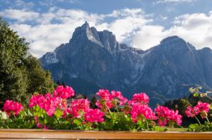 Appartments Geislerblick