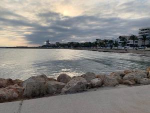 PARAISO EN SANTA POLA