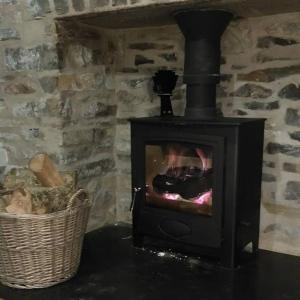 Ffyllon Fawr