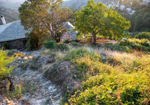 Archontiko Kallisto Pelion Greece