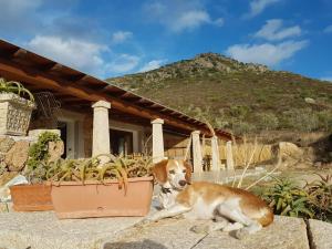 Villetta Osseddu img45