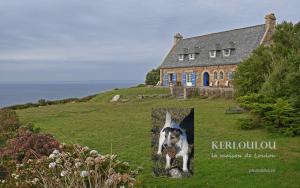 Maisons d'hotes Kerloulou : photos des chambres