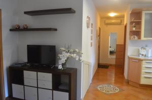 APARTMENT TERRA, Koper center