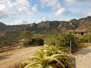 Villetta Osseddu img35