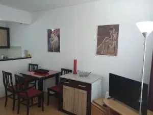 Apartman Nadja i Djole - 索科矿泉村