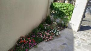MiRoom in the heart of Plovdiv