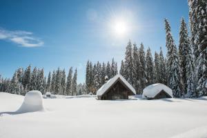 Apartmaji Štrud´l Bohinj 