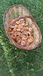 Apartamento con encanto