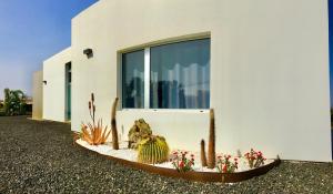 Turquesa 1 Fuerteventura