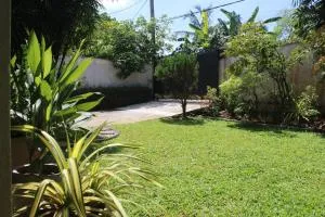 Bird's Nest by Natures Bliss - 乌斯维塔克伊亚瓦