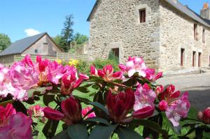 B&B / Chambres d'hotes Maison d'hotes & Gites Domaine de la Garaye : photos des chambres