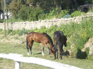 Agriturismo Il Muto di Gallura img31