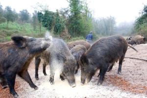 Agriturismo Il Muto di Gallura img32