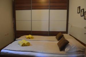 APARTMENT TERRA, Koper center