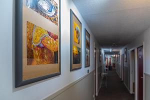 Hotels Hotel le Mas des Ponts d'Arles : photos des chambres