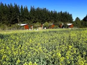 Cabañas Los Ciervos - Catillo