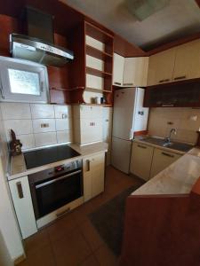 Petrov Apartment in Downtown - City Center 70m2